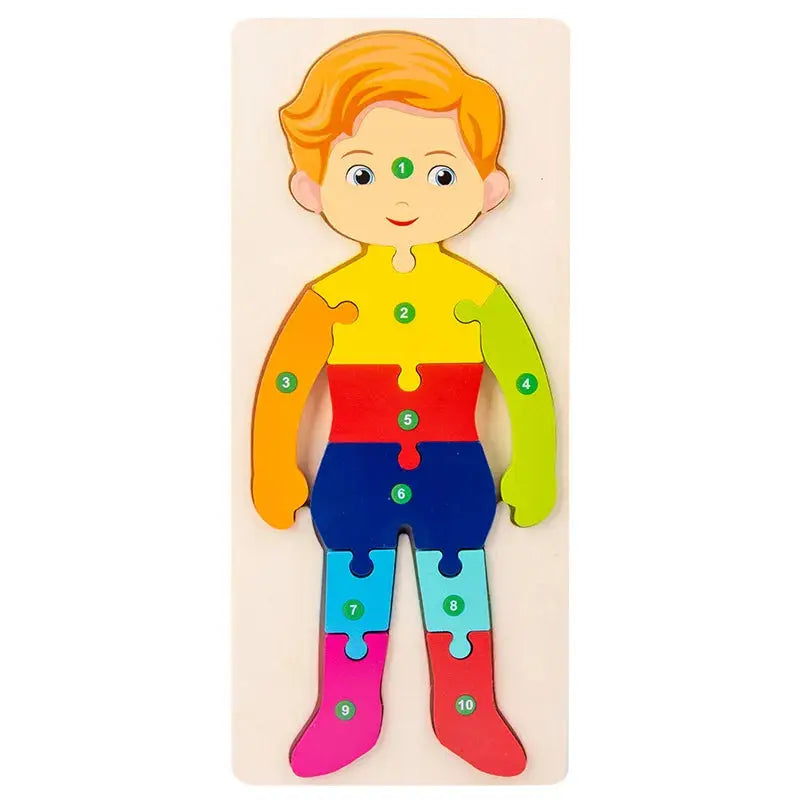 Wooden Puzzle Board 1 2 3 Year Children Puzzle Vehicles Pattern Colorful Numbered For Kids Toddlers Learning Educational Gifts Pinochio